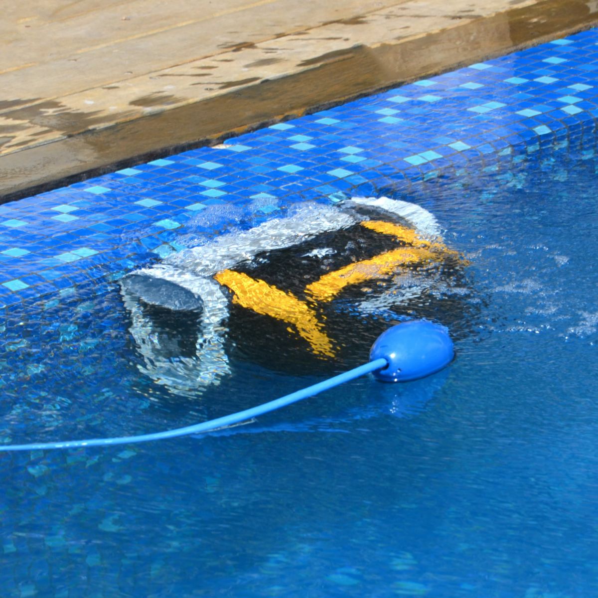 poolroboter_dolphin_e20_4
